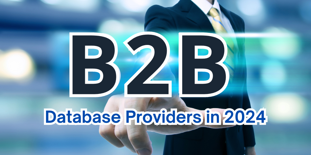 B2B Database Provider