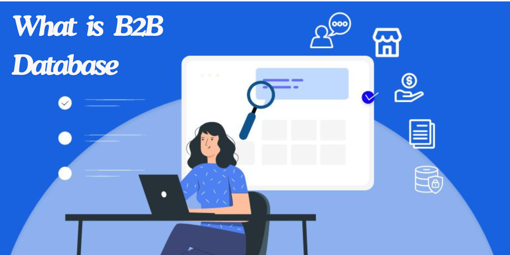 what is b2b database